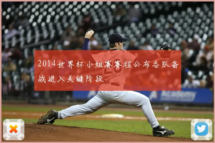 2014世界杯小组赛赛程公布各队备战进入关键阶段